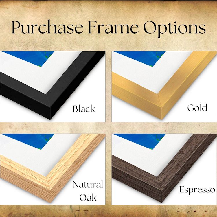 Purchase Frame Color Options